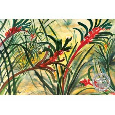 WATERMARK GREETING CARD KANGAROO PAW
